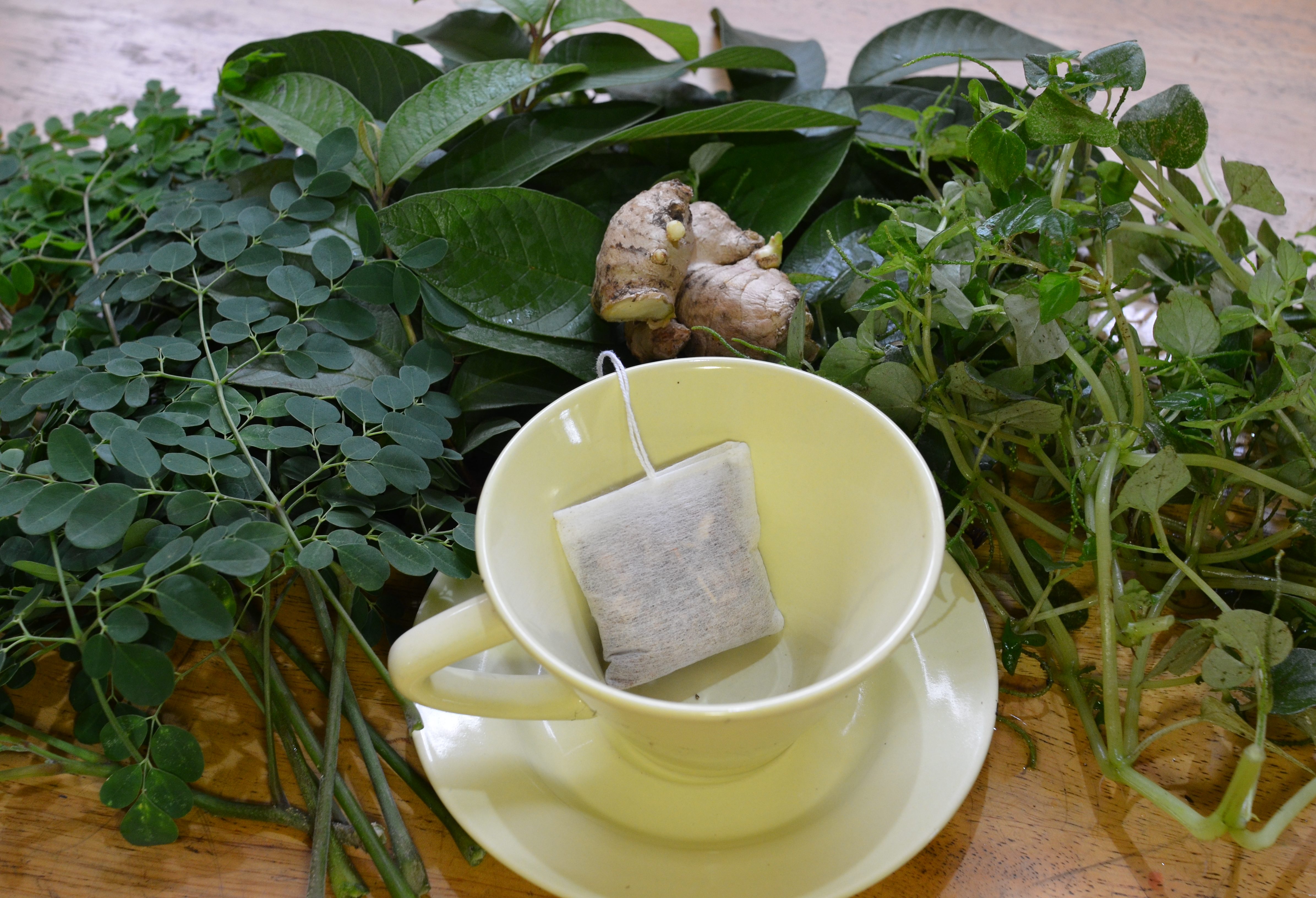 Это чудо — травы Это чудо — травы