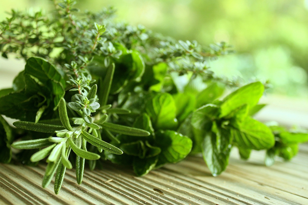 Очищение организма Очищение организма