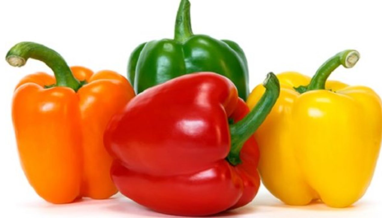 Летний овощ Летний овощ