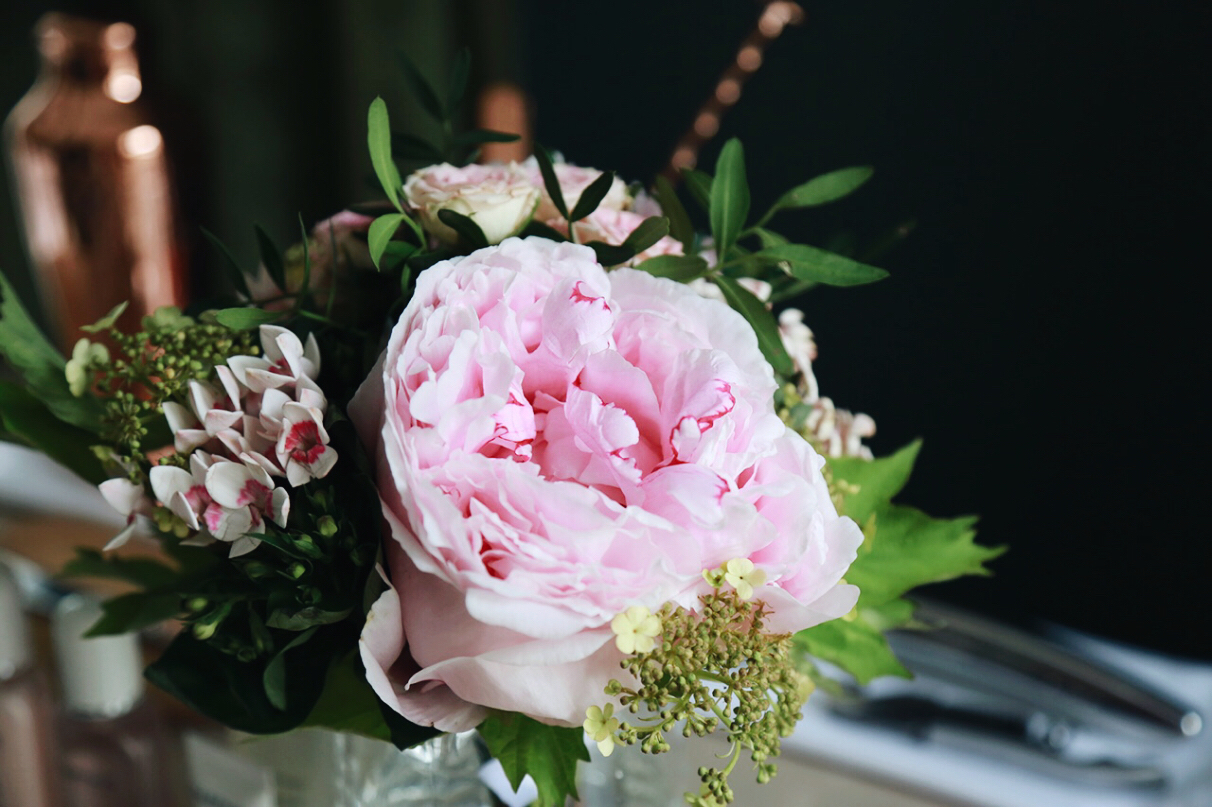 Аромат розы утоляет голод Аромат розы утоляет голод