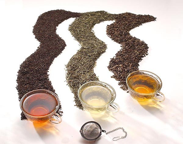 Виды чая, и его значение в современном мире Виды чая, и его значение в современном мире