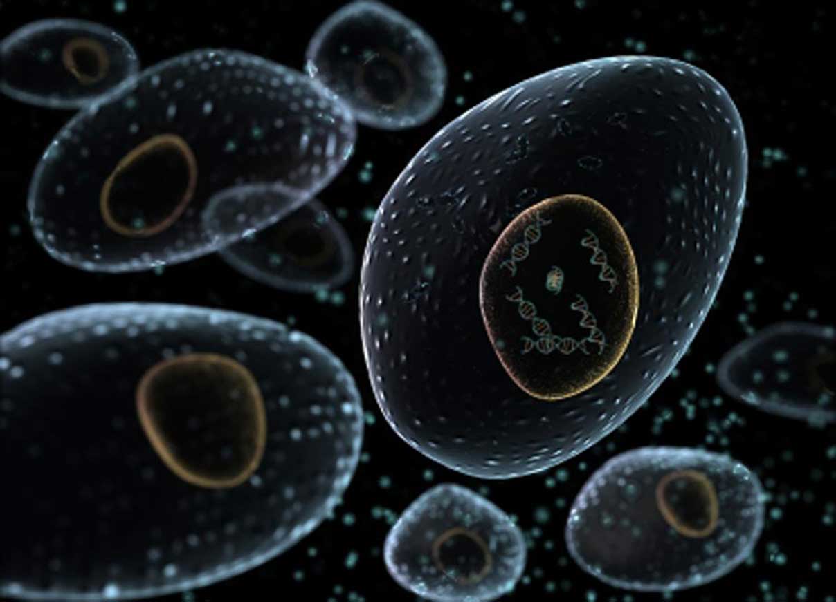 Cовременный способ омоложения Cовременный способ омоложения