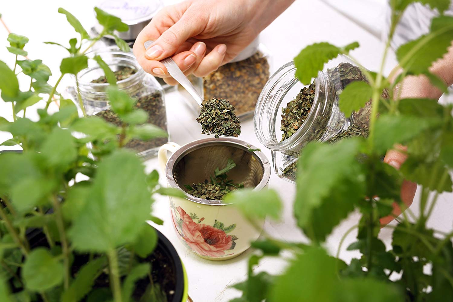 Как подготовить свой организм к весне Как подготовить свой организм к весне