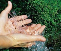 Что нужно знать о питьевой воде Что нужно знать о питьевой воде