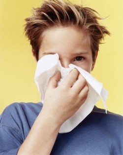 Народные рецепты от простуды и насморка Народные рецепты от простуды и насморка