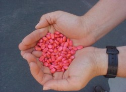 Семянотерапия