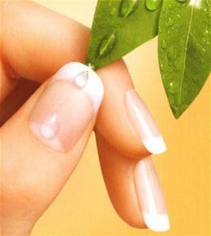 Уход за руками и ногтями с использованием эфирных масел1 Уход за руками и ногтями с использованием эфирных масел1