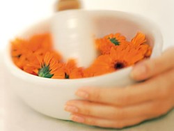 Натуральная косметика для здоровья организма Натуральная косметика для здоровья организма