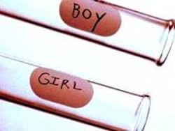 Дети из пробирки Дети из пробирки