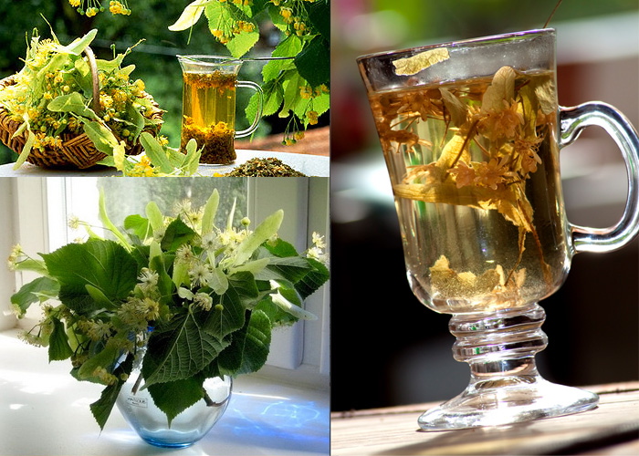 Ароматизатор из липы1 Ароматизатор из липы1