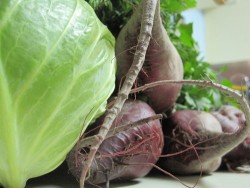 Источники фолиевой кислоты и бетаина Источники фолиевой кислоты и бетаина