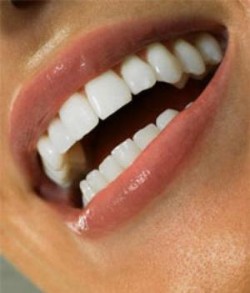 Затраты на ортодонтическое лечение