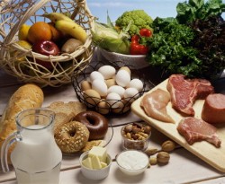 Основы здорового питания Основы здорового питания