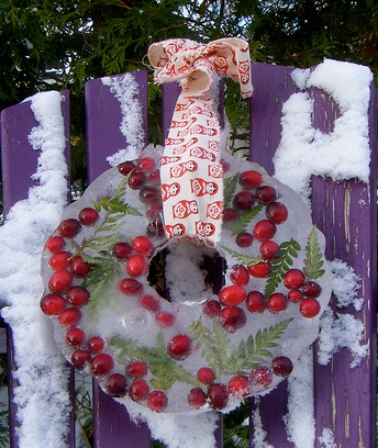 3056013712_d814000ec7