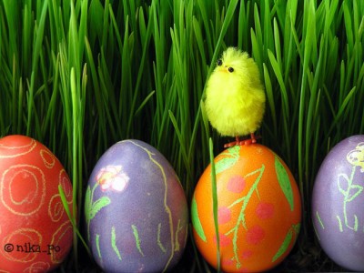 пасха лужайка