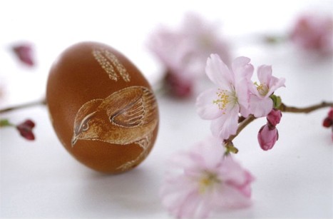 пасха яйцо с цыпой