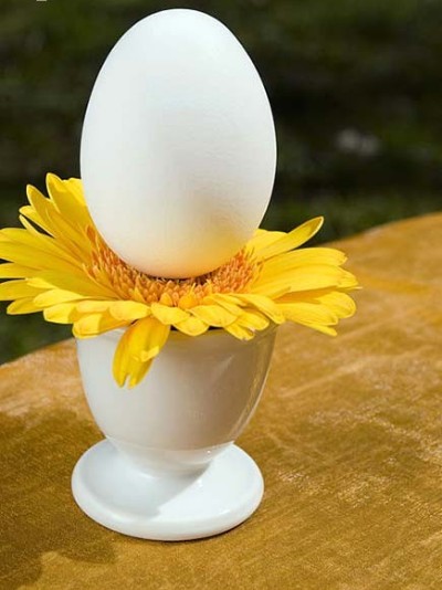пасха яйцо в вазочке пасха цыпленок