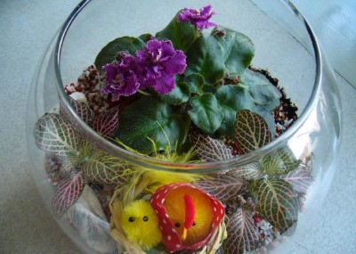 пасха террариум1
