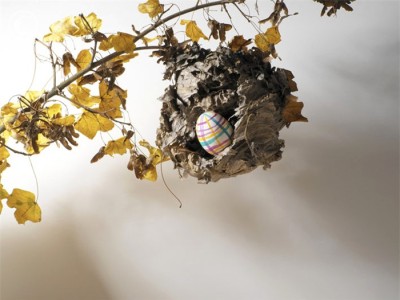 пасха яйцо на ветке