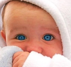 Играем и растем