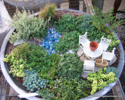 miniature_garden_12
