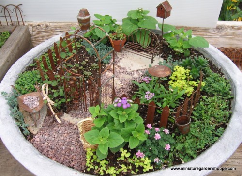 miniature_garden_5