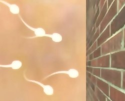 Новый метод контрацепции Новый метод контрацепции