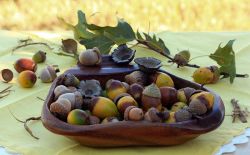 Осень на кухне6