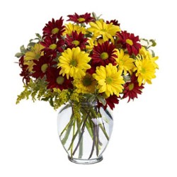 Отцвели уж давно&hellip;