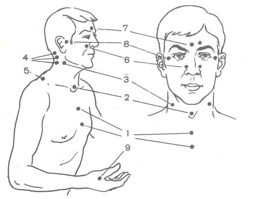 Зоны здоровья Зоны здоровья