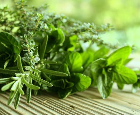 Очищение организма