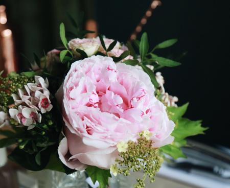 Аромат розы утоляет голод