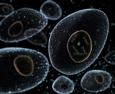 Cовременный способ омоложения Cовременный способ омоложения