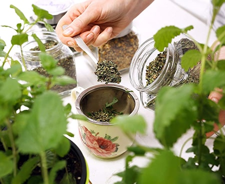 Как подготовить свой организм к весне