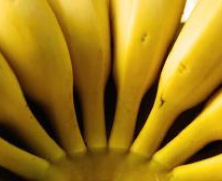 8 удивительных сведений о бананах
