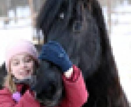 Конный спорт