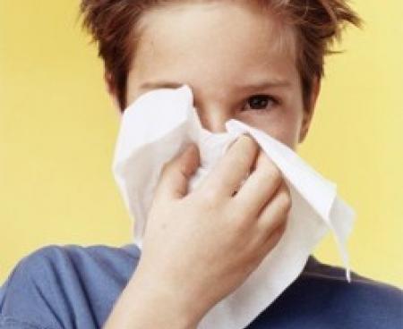 Народные рецепты от простуды и насморка Народные рецепты от простуды и насморка