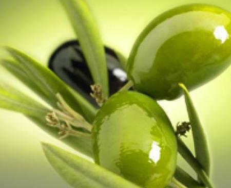 Оливки