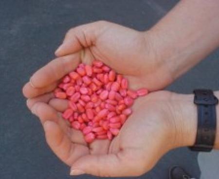 Семянотерапия Семянотерапия