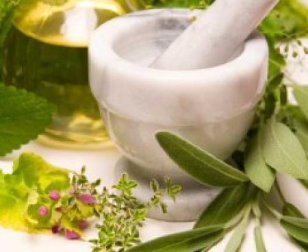 Гомеопатия и жизнь Гомеопатия и жизнь