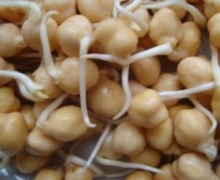 Ценность пророщенных семян