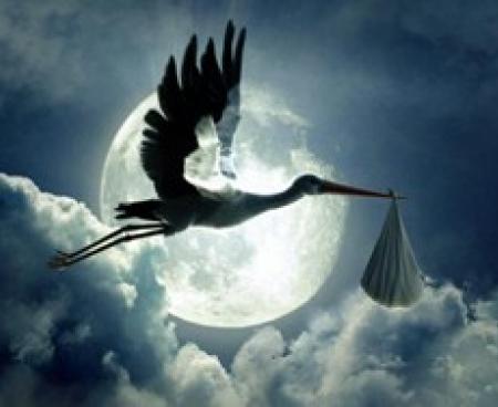 Когда ждете аиста Когда ждете аиста