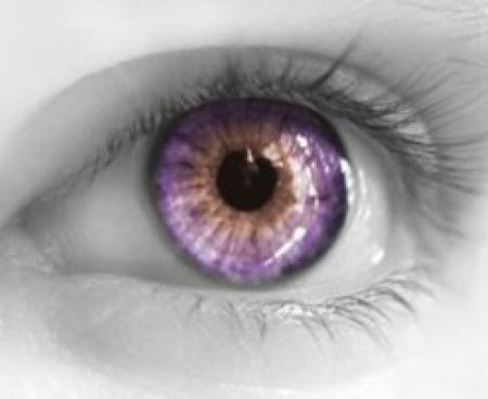 Кто выбирает контактные линзы? Кто выбирает контактные линзы?