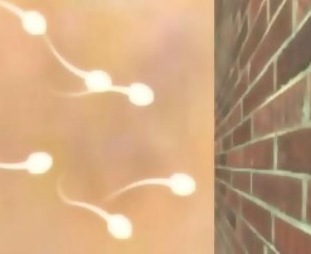 Новый метод контрацепции