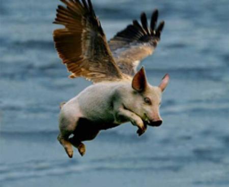 Свиной грипп и Вы