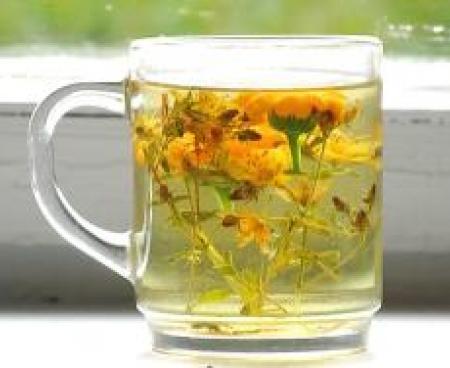 Траволечение - прошлое и настоящее