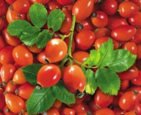 Зеленая аптека Зеленая аптека